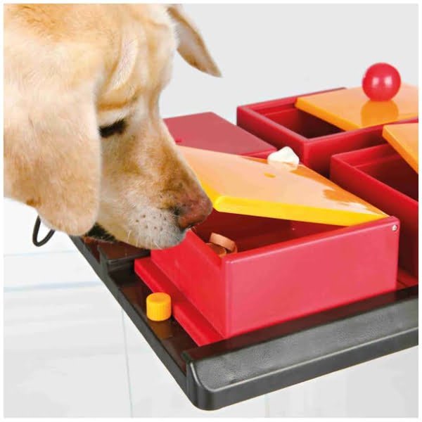 Dog Activity Poker Box