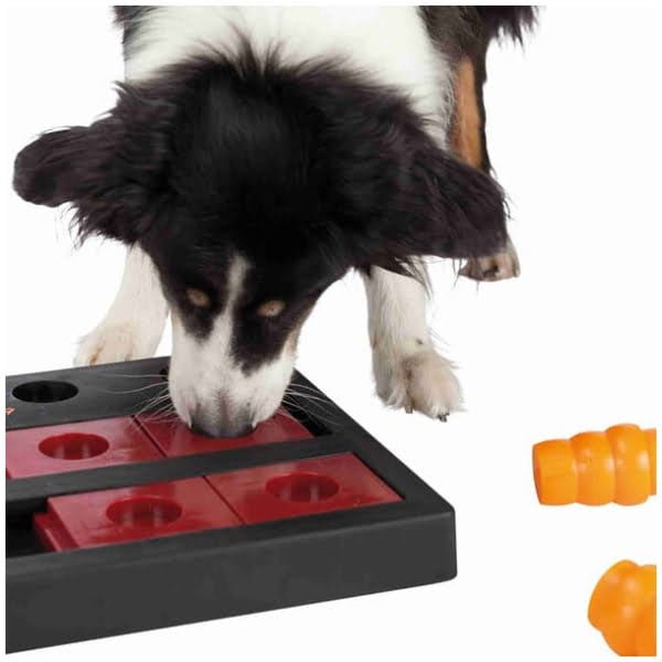 Dog Activity Chess