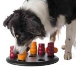 Dog Activity Solitaire