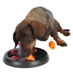 Dog Activity Flip Board