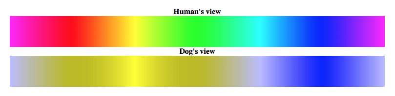 Ven los perros en color