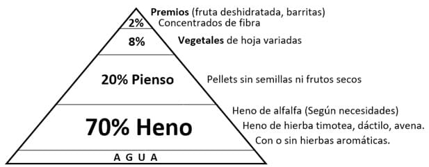 alimentacion chinchilla