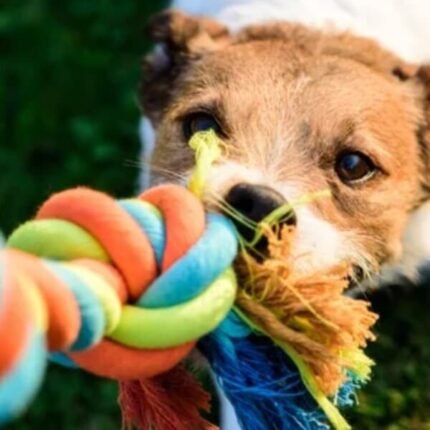 juguetes de cuerda para perros